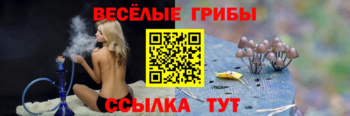 Дятьково  Псилоцибиновые грибы прущие грибы  Вход с VPN 